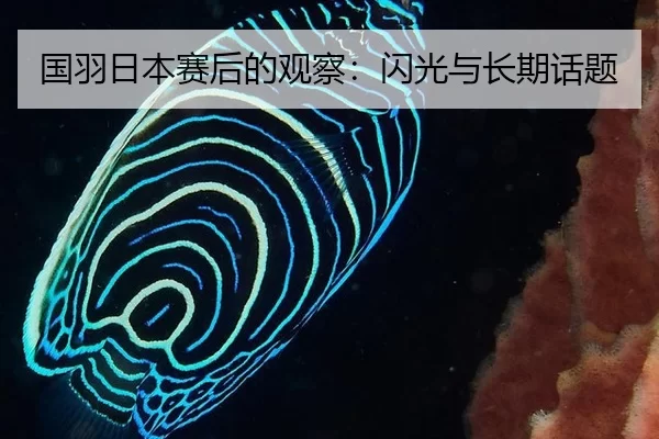国羽日本赛后的观察：闪光与长期话题